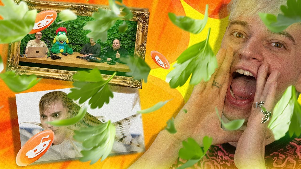 Stuvi esplora il 'Reddit del Prezzemolo' in un video dedicato