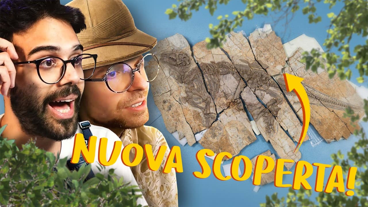 Nuove Scoperte sulle Specie di Dinosauri: Lo Zoo di Dario e Willy con ZooSparkle